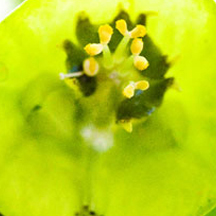 便宜的充值网站求的免费ddos压力测试平台